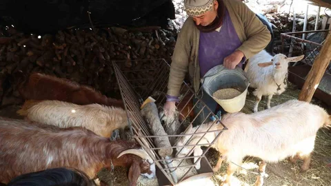 Korkuteli'nde Yem Makinesi Üreticilere Kolaylık Sağlıyor