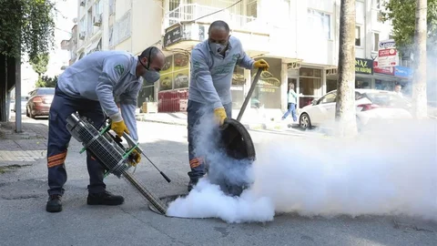 Mersin'de Haşereyle Mücadele Devam Ediyor