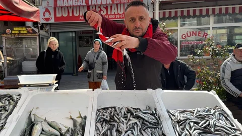 Zonguldak'ta Balık Tezgahları Yoğun Çalışıyor