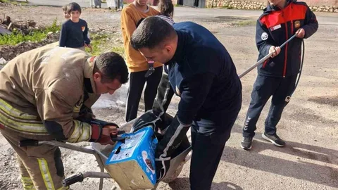 Hatay'da Mahsur Kalan Köpeklere Yardım