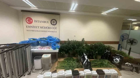 Sultanbeyli'de Kenevir Operasyonu