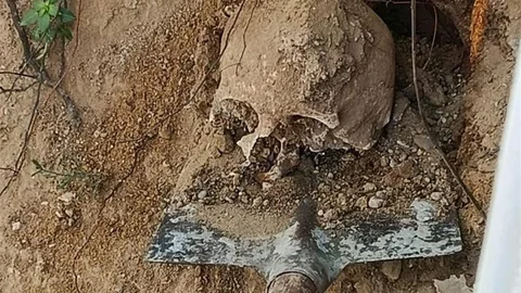 Kocaeli'de Bahçede İnsan Kafatası Bulundu