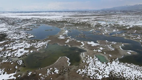 Erzincan'da Kuş Cenneti Görüntülendi
