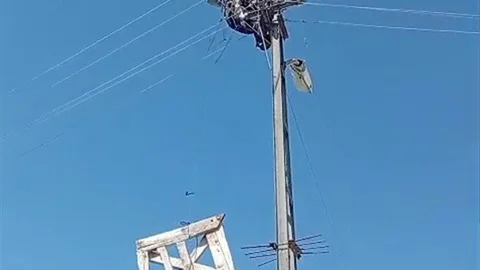 Aras Elektrik'ten Leylek Yuvalarına Destek