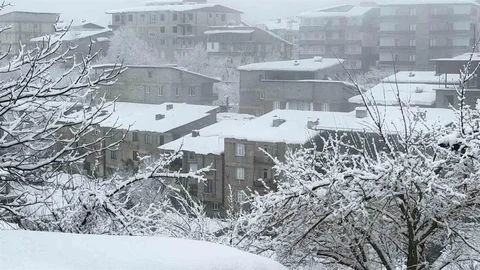 Hakkari'de Kar Yağışı Hayatı Olumsuz Etkiledi