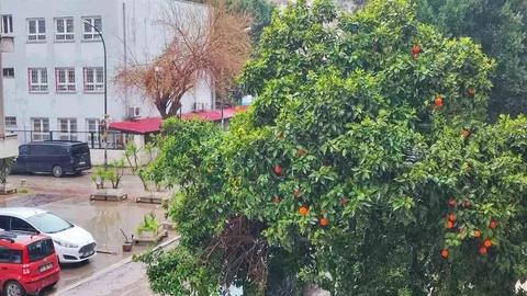 Adana’da Bayramda Yağmurlu Hava Bekleniyor