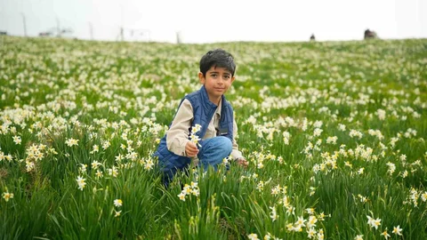 Nergisler Baharın Gelişini Müjdeliyor