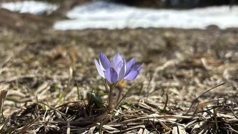 Bolu’da Kış ve İlkbahar Bir Arada