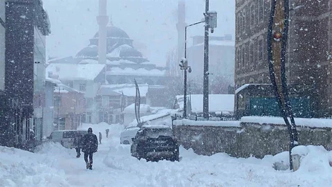 Karlıova'da Kar Yağışı Etkili Oldu