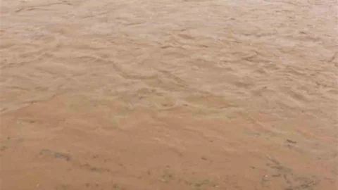 Diyarbakır'da Sağanak Yağışlar Koyunları Telef Etti
