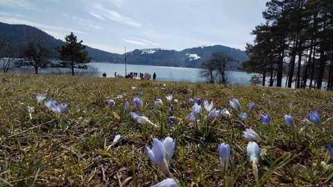 Abant'ta Bahar Güzellikleri