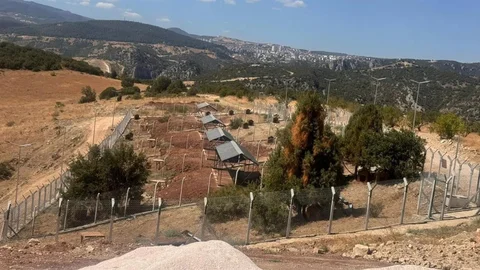 Bilecik'te Sokak Hayvanları Alanı Sorunları Süregeldi