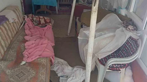 Giresun'da Ayılar Yayla Evlerine Girmeye Başladı