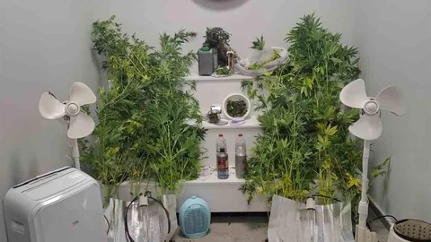 Yalova'da Uyuşturucu İmalatı İddiası