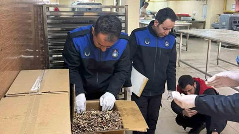 Haliliye'de Küflenmiş Ceviz Ele Geçirildi