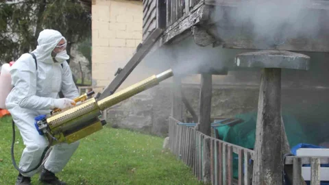 Ordu'da Kahverengi Kokarca Mücadelesi Başladı