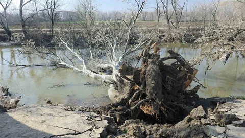 Edirne'de Toprak Kayması Olayı