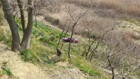 Kocaeli'de Otomobil Şarampole Yuvarlandı