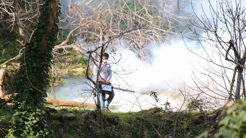Bozdoğan'da İlaçlama Çalışmaları Devam Ediyor