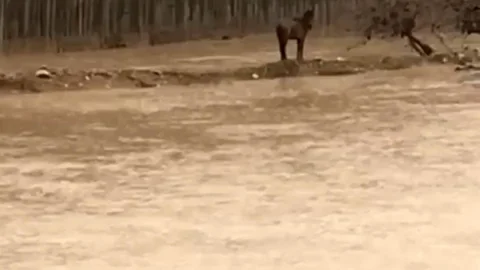 Mardin'de Sel Sularında Atını Kurtardı