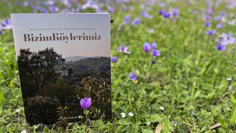 Milas'ta Yeniköy Kemerköy Enerji Projesi