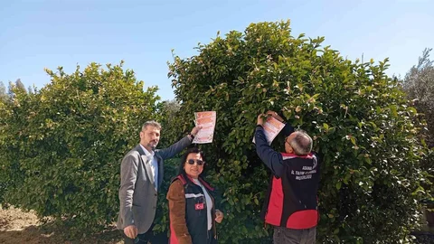 Kozan’da Arıların Korunması İçin Proje Başlatıldı