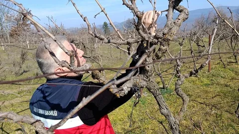 Simav'da Verim Çalışması Yapıldı