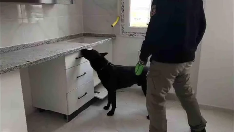 Adana'da Uyuşturucu Operasyonu