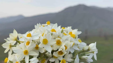 Derecik'te Bahar Coşkusu