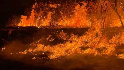 Burdur'da Sazlık Yangını Kontrol Altına Alındı