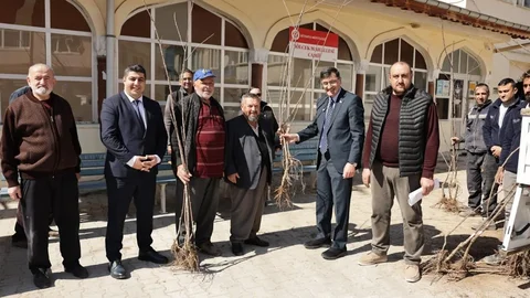 Kütahya'da Kiraz Fidanı Dağıtımı