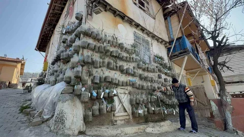 Tokat'ta Duvarında Soğan Yetiştiriyor