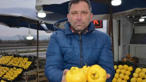 Bilecik'te Ayva Fiyatları Yükseldi
