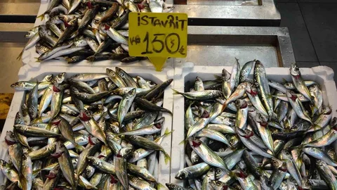 Bayram Öncesi Trabzon'da Balık Bolluğu