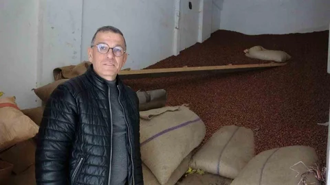 Giresun'da Fındık Fiyatları Düşüşte