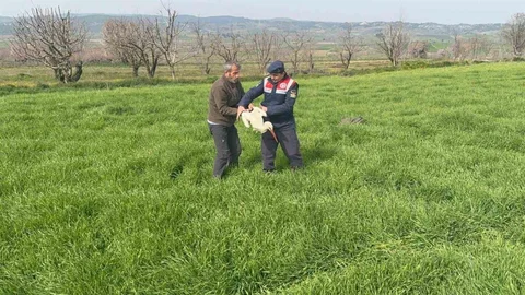 Bilecik'te Yaralı Leylek Kurtarıldı