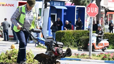 Aydın Didim'de Yerel Çalışmalar Sürüyor