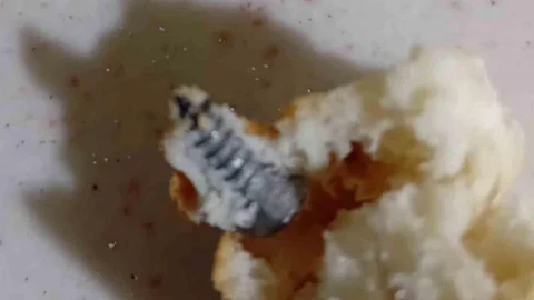 Elazığ'da Ekmeğin İçinden Vida Çıktı