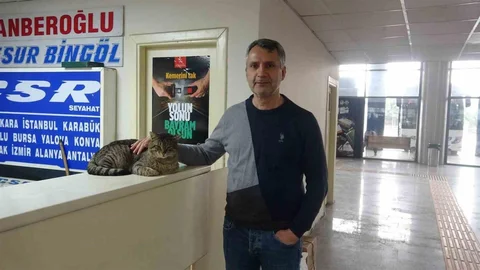 Hatay'da Kaybolan Kedi Bulundu