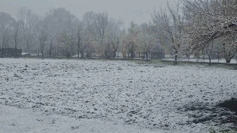 Bolu'da Kar Yağışı Etkili Oldu