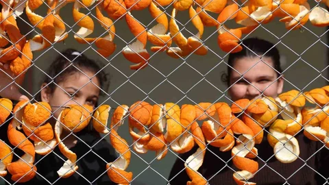 Adana'da Kadınların Ekonomik Katkısı