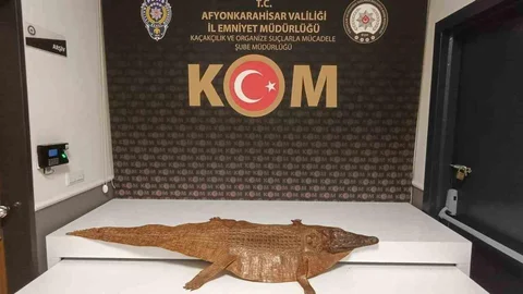 Afyonkarahisar'da Timsah Derisi Ele Geçirildi