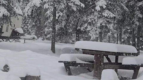 Düzce'de Kar Yağışı Etkili Oldu