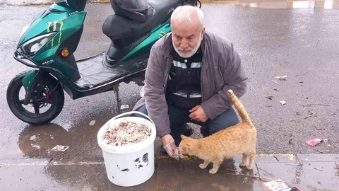 Diyarbakır'da Sokak Hayvanlarına Destek