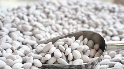 Elazığ’da Badem Şekeri Üretimi Artıyor