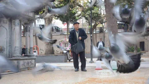 Bilecik'te Bayramda Kuşlara Koştu
