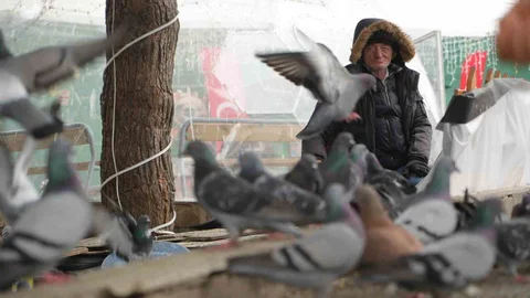 Samsun'da Kuşların Dostu Kemal Parlak