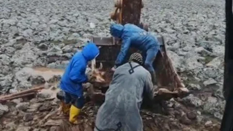 Şanlıurfa'da Çamura Saplanan İnek Kurtarıldı