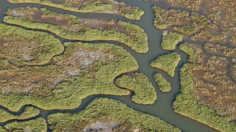 Gediz Nehri'nde Kirlilik Analizi