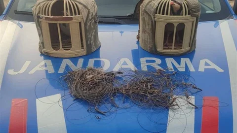 Kırşehir'de Kaçak Keklik Avcıları Yakalandı